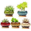 Cute Ceramic Succulent Garden Pots, Planter with Drainage and Attached Saucer, Set of 5 -Plants Not Included (Vivid Colors) - color: Vivid Colors