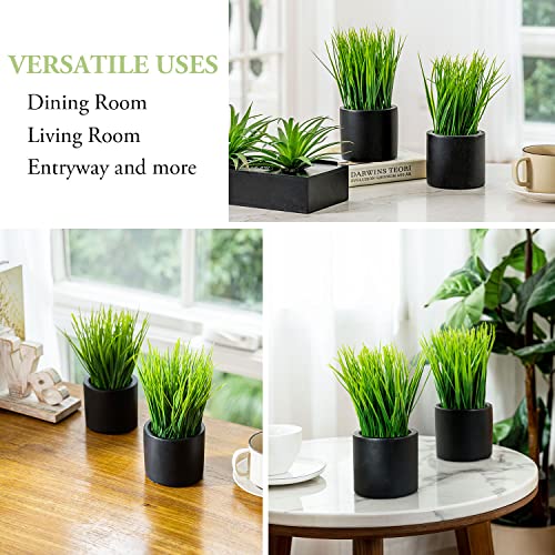 MyGift Tabletop Artificial Grass Plants Decorative Faux Greenery Plant Potted in Modern Cylindrical Black Cement Pots, Set of 2 - color: Black (Round)