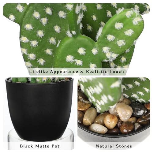 Artificial Cactus Plants 9.8 inch Small Faux Cactus Plants Indoor Fake Desert Cacti Succulents Plants Artificial Plant Indoor with Pot Cacti Decorations for Home Decor Office Desk Tabletop Shelf - size: SUP_168