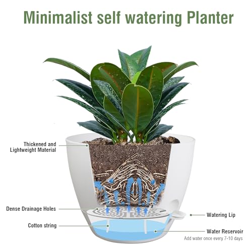 Meowell 12 inch Large Self Watering Pots for Indoor Outdoor Plants, Plant Pots with Mesh Drainage Holes for Garden House Plants, Plastic Planters with Reservoir for Flower Plants, White - color: White, size: 12inch B