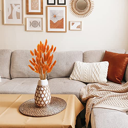 Uieke 17’’ Natural Bunny Tails Dried Flowers, 50 Pcs Dried Lagurus Ovatus, Dried Pampas Grass for Flower Arrangements Wedding Centerpieces Home Boho Baby Shower Party Fall Decorations (Orange) - color: Orange-50pcs