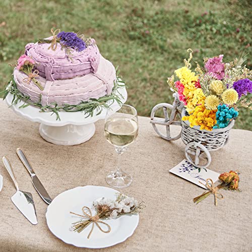 10 Pcs Mini Dried Flowers Bouquet Natural Gypsophila Don't Forget Me Dried Flowers Bouquet Plant Stem Bunch for DIY Craft Card Photo Props Vase Wedding Decor(Colorful)