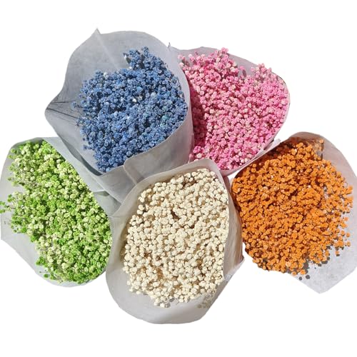 120 Pcs Mini Dried Baby Breath Flowers Gypsophila Ivory Mixed Color Flowers Dried Flowers for Vase Wedding Home Office Party Garden Card Making Decor Wreath Floral Craft DIY Art (Mixed Color Varient) - color: Mixed Color Varient