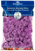 SuperMoss (25158) Reindeer Moss Preserved, Lavender, 8oz Bag