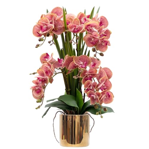 CXGS Artificial Orchid Flower Plants Real Touch Faux Orchids in Ceramic Vase 20.9'' Purple Dapple Phalaenopsis Orchid Fake Flower Arrangement Home Indoor Decor - color: Purple Dapple- Golden (12cm)