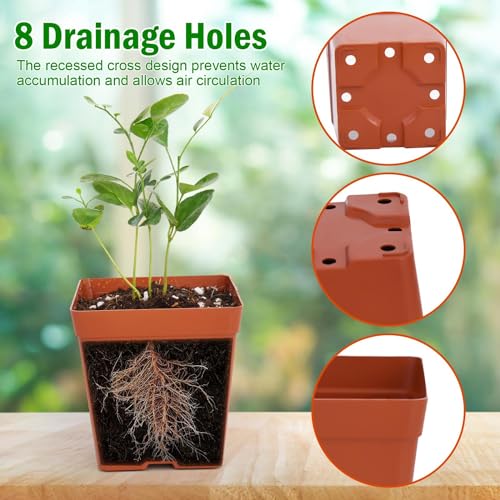 June Fox 100 Pack Green Red Square Nursery Pots with Drainage Holes 3.3 Inches Flexible Plastic Seedling Pots Square Pots for Plants, Succulent, Flower, with Plant Labels - color: Green and Red