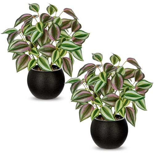 2 Packs Artificial Plants in Black Pot, 12" Faux Plant | Realistic Tradescantia Zebrina Fake Plants Potted Decorative for Home Kitchen Office Desk Bookshelf Decor - color: Purple-green