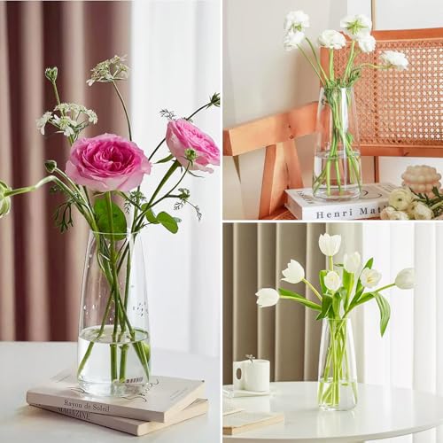 Crystal Clear Glass Vase, Flower Vase for Table Centerpiece Home Decor, Modern Vases for Living Room, Wedding, Office, Coffee Table, Birthday Housewarming Gift, 8.3inch (Clear) - color: Clear