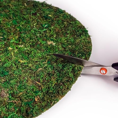 SuperMoss (26325) Moss Soil Toppers (Place Mats), Fresh Green, 16" (3 units) - color: Fresh Green, size: 16" (3 units)