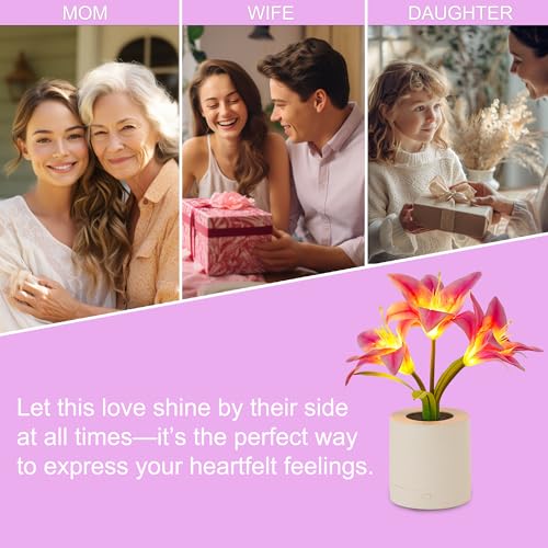 WSYEAR Pink Morning Glory Flowers Table Lamp, Charging Dimmable Cordless Artificial Flower Night Light, Bedroom Office Decor Night Light, Christmas Birthday Gifts for Women Mom - color: Pink Morning Glory