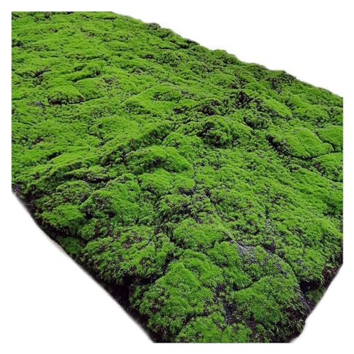 YIQIFLY Simulation Artificial Moss Mat Fake Grass Rug DIY Synthetic Turf Lawn Carpet for Wedding Home Backyard Balcony Indoor Outdoor Decor (Color : Dark Green, Size : 1x2m(3.2x6.5ft)) - color: Dark Green, size: 3.2 x 6.5 ft