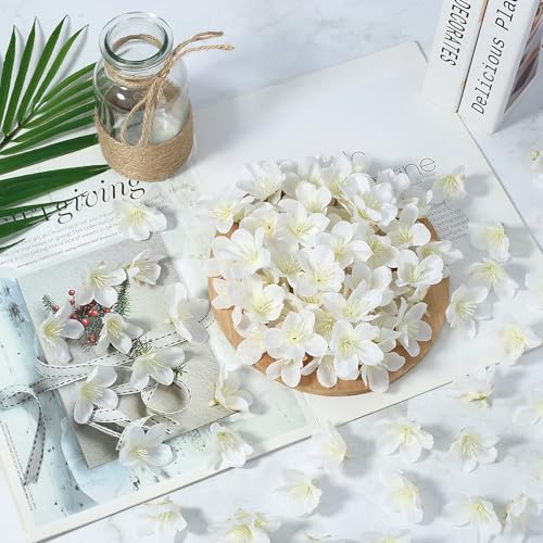 SITUMEIZI 100 Pcs Mini White Cherry Blossom Head Artificial Small Cherry Blossom Head Fake Silk Flower Head for Wedding Decor, Graduation Cap, Cake, DIY Flower Wall Party Decor 1.6 inches - color: White-cherry