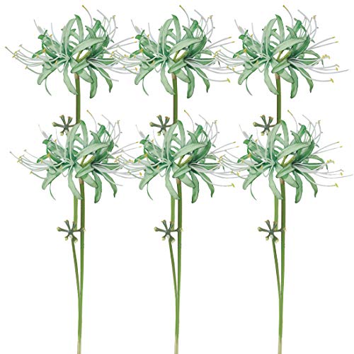 6 Stems 26.38 Inch Artificial Lycoris Radiata Spider Lily Flowers for Home Garden Decoration (Green) - color: Green