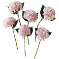 Pink Hydrangea Artificial Flowers,6 Pcs Faux Pink Hydrangea Flowers, Artificial Hydrangeas Flowers with Stems,Fake Hydrangea Flowers, Hydrangea Silk Flowers (6, Pink) - color: Pink
