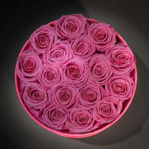 Prifroti 17 Flowers in a Velvet Pink Box, Birthday Gifts for Women, Preserved Flowers, Mothers Day Roses Gift for Mom, Pink - color: Pink | Pink Box, size: 17 Roses
