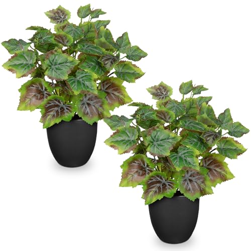 14.5" Artificial Plants Indoor Home Decor, Fake Potted Silk Plants for Shelves Living Room Decor, Small Artificial Office Desk Plants in Pots, Faux Grape Leaf Vine Hope Tropical House Plant Sets of 2 - color: 2 Sets # Rusted Green
