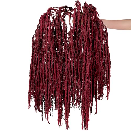 Suncalla 12 Pcs Red Spring Natural Dried Amaranthus Hanging Flowers Amaranthus Artificial Flowers for Wedding Arch Bouquet Floral Garland Wall Home Decoration (23 Inch) - color: Red
