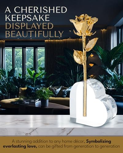 Forever Rose 24K Gold Dipped Real Rose, Handmade, Long-Lasting Preserved Flower in Acrylic Heart (One Rose) & Gold Box, Romantic Gift for Anniversary, Valentine's Day, Birthday, Wife, Girlfriend - color: Acrylic Heart Vase (1 Rose)