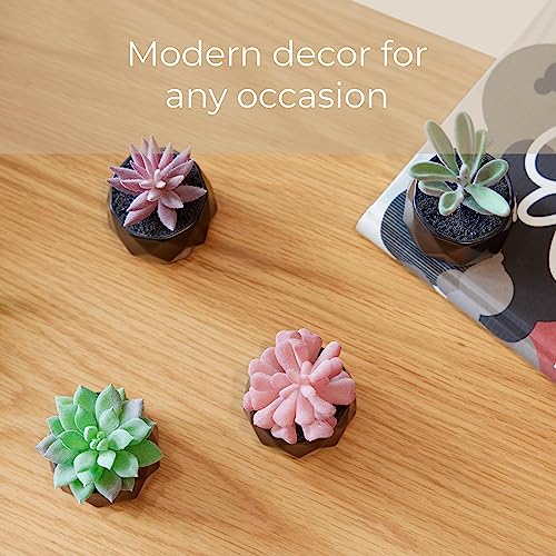 Nordik Set of 4 Desk Plants - Geometric Round Black Pots - Perfect for Bathroom, Bedroom Decor Aesthetic - Ceramic Fake Plant for Office or Living Room Decor - Ideal for Women - color: Matte Black