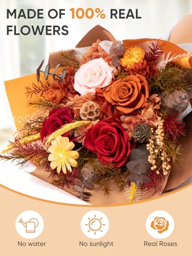 Bessol Flowers for Delivery Preserved Flower Bouquet Forever Fresh Flowers Birthday Gifts for Women Mom Anniversary Red Real Rose Gifts for Grandma Wife Girlfriend Sister Her from Daughter - color: Fall Preserved Flower Bouquet, size: Large