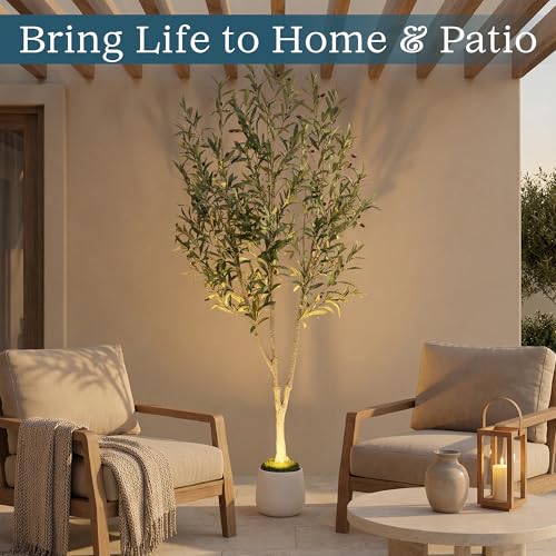 6ft (180 cm) Artificial Olive Tree with White Pot, Moss & USB LED – 943 Leaves, 52 Olives, Lifelike Fake Indoor Potted Plant for Home, Living Room, Office & Bedroom Decor - size: 6ft