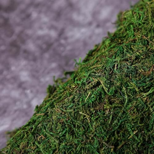 Tableclothsfactory 18" x 16" Preserved Natural Moss Roll Faux Green Living Wall Foliage Green Garden Wall Mat - color: Moss