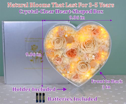 Valley of Rain & Forest Long-Lasting Real Flowers With Delivery | "Sweet" Preserved Floral Gift With Lights For You to Send Love, Romantic Home Decor (Forever Yellow Roses Arrangement) - color: Champagne & Yellow Roses Arrangement