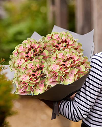DILATATA Fake Hydrangeas Real Touch Hydrangea Flowers 26" Large Artificial Hydrangea Flowers Silk Hydrangea for Wedding Bouquet, Home, Party, Store, 3 - color: Green Pink #3, size: 3PCS