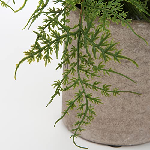 Hollyone Small Fake Plant Potted Plants Artificial Decor Silk Ferns Plant Faux Plants in Pots for Home Living Room Bedroom Desk Bathroom Window Shelf Farmhouse Decoration - color: 1 Pack - Style 3