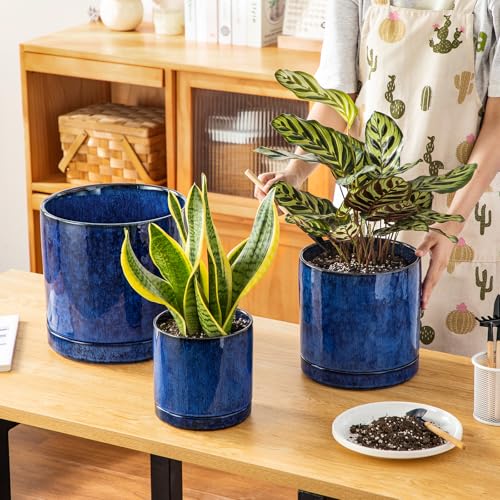 vancasso Ceramic Planters, Plant Pots for Indoor Plants, 6.25+8.25+10.25 Inch Ceramic Pots for Plants, Flower Pots with Drainage Holes (Blue, 6.25+8.25+10.25 Inch) - color: Blue, size: 6.25 + 8.25 + 10.25 Inch