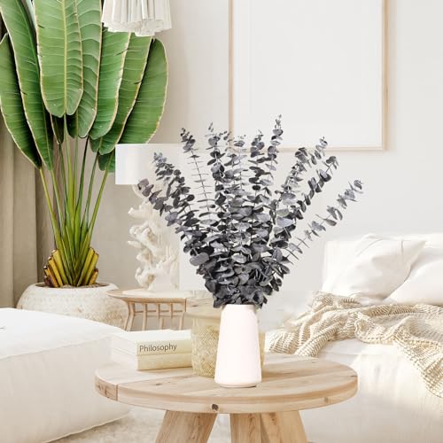 Tavkite 16 Pcs Dried Eucalyptus Stems, 17'' Natural Eucalyptus Leaves Branches Hanging for Shower, Preserved Real Black Plant Live Greenery for Home SPA Wall Bathroom Wedding Party Vase Decor - color: Z-black