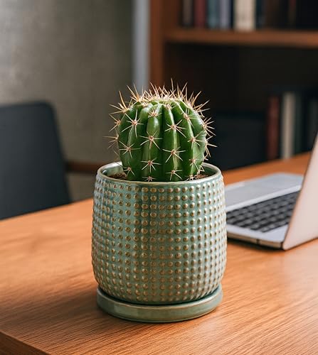 D'vine Dev 4 Inch Ceramic Beaded Stoneware Planter Pot - Flower Pot with Drainage Holes and Saucers for Indoor Succulent Plants or Flowers, Olive, 27-C-Z-0 - color: Olive, size: 4.3 Inch