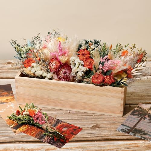Layhit 12 Pcs Boho Dried Flower Bouquet Mini Wedding Handmade Dry Flowers Decor for Vase Crafts DIY Photo Boutonniere for Men Floral Plant for Bridesmaid Gift Birthday Decor(African Daisy) - style: Gerbera Daisy