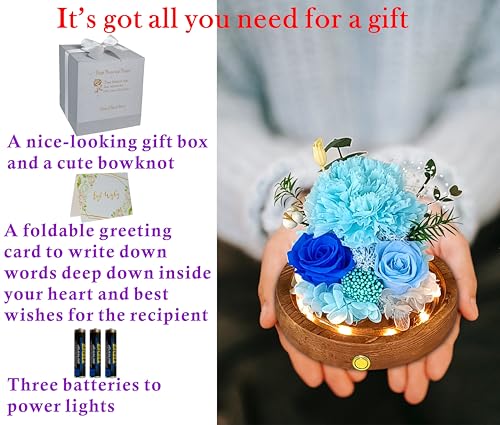 Valley of Rain & Forest Long-Lasting Real Flowers, Unique Floral Gift For You to Send Love for All Occasions, for Indoor Decoration (Light Blue Carnation, Blue Rose, Light Blue Rose) - color: Light Blue Carnation, Blue Rose, Light Blue Rose