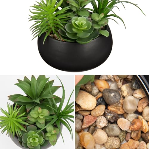 Hollyone Fake Plants Artificial Succulents in Pots Faux Succulent Arrangement Potted Plant in Black Ceramic Planter Bowl for Home Decor Office Desk Bathroom Shelf Living Room Indoor Decorations - color: Premium Black
