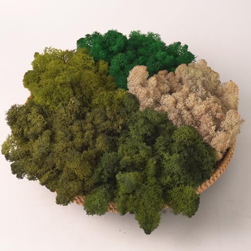 Preserved Reindeer Moss Natural Green DIY Kit Gardenning Art Wall Decor Florist Decor Easter Table Decor Wedding - color: style-16, size: 1 lb