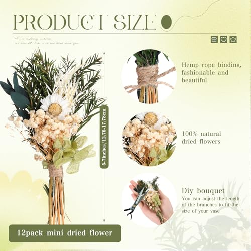 Layhit 12 Pcs Boho Dried Flower Bouquet Mini Wedding Handmade Dry Flowers Decor for Vase Crafts DIY Photo Boutonniere for Men Floral Plant for Bridesmaid Gift Birthday Decor(Fresh) - style: Eucalyptus