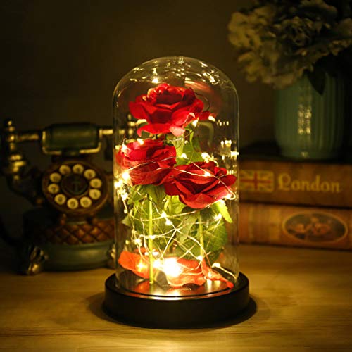 Mothers Day Mom Gifts for Mom,Beauty and The Beast Rose Light Up in Glass Dome,Preserved Flowers Prime Delivery Flowers Gifts,Birthday Gifts for Women Girlfriend Wife Anniversary,Valentines,Wedding - color: Red