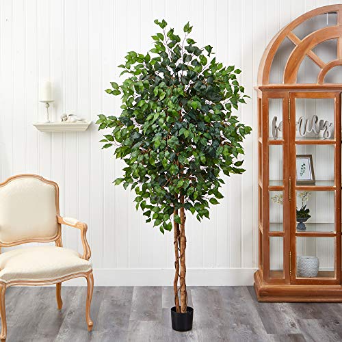 Nearly Natural 6ft Triple Trunk Artificial Ficus Tree with Natural Wood Trunks, Fake Tree for Indoor Home Décor, Faux Ficus Tree with Black Nursery Pot - size: 6ft, style: Tree in Pot