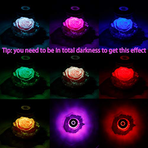Preserved Real Roses with Colorful Mood Light Wishing Bottle, Eternal Rose，Never Withered Flowers, for Bedroom Party Table Decor, Christmas Decorations, a Gifts for Women 1pcs Pink - color: Pink