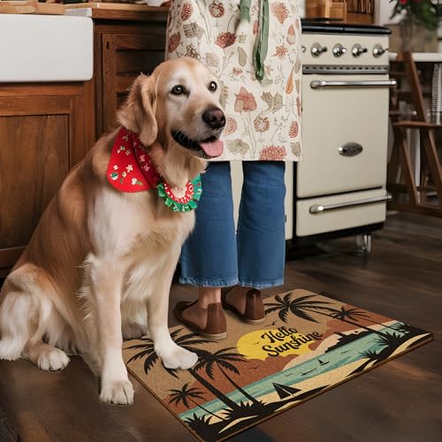 Beach Hello Sunshine Door Mat, Coastal Summer Doormat, Beach Welcome Front Door Mat Indoor Outdoor Entrance, Boho Beachy Artificial Coir Doormats Rugs for Patio Entry Home Decor, 30x17in - color: Beach