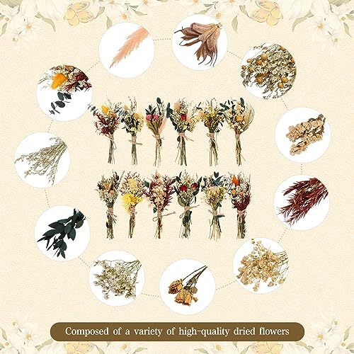 Layhit 12 Pcs Boho Dried Flower Bouquet Mini Wedding Handmade Dry Flowers Decor for Vase Crafts DIY Photo Boutonniere for Men Floral Plant for Bridesmaid Gift Birthday Decor(Bright) - style: Bright