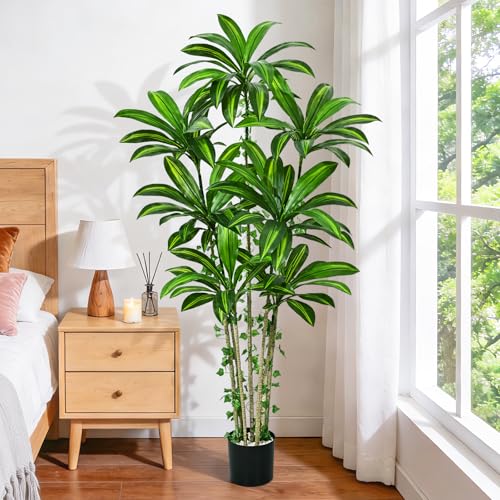 Dolicer 6FT Tall Look Real Artificial Dracaena Tree Indoor with Black Planter, Realistic Artificial Fake Faux Indoor Plants with Natural Trunk and Lifelike Leaves for Home Office Living Room - size: 6FT