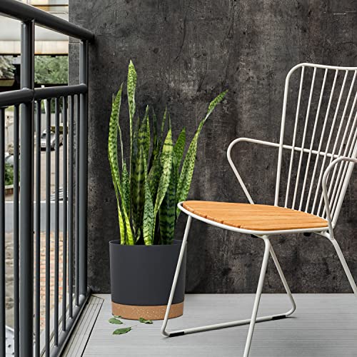 kubvici Plant Pots for Indoor Plants, 2 Pack 10 Inch Plant Pot Plastic Flower Pots Planters with Drainage Saucer for Indoor Outdoor Garden Home (10" Black) - color: Black, size: 10 inch