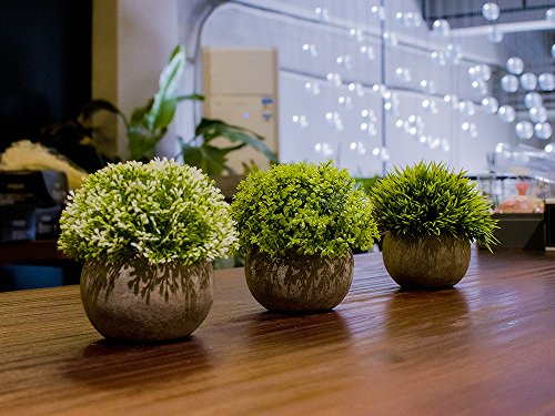 Opps Artificial Plastic Mini Plants Unique Fake Fresh Green Grass Flower in Gray Pot for Home Décor – Set of 3 - color: White & Green