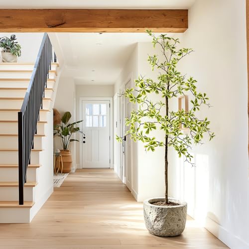 Bailikang 5FT Artificial Black Olive Tree Artificial Olive Plants, Tall Faux Olive Tree Faux Silk Plant Fake Plant Ultra-Realistic Silk Leaves & Natural Trunk Indoor Outdoor Use - color: White Olive Tree, size: 5ft