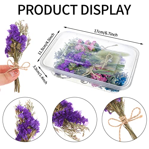 30 Pcs Mini Don't Forget Me Flower Bouquets Purple Natural Dried Flowers Bouquet Dry Flower&Leaves Lavender Dried Embossing Flower Bundles Plant Stem Bunch for DIY Craft,Photo Props,Wedding Decoration - color: 30pack