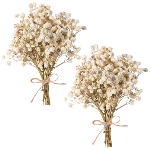 Dried Baby's Breath Bouquet, Pure White 6"-7.8" Portable Mini Gypsophila Flowers, 2000+ Natural Preserved Flowers for Wedding Home Decor DIY Crafts Vase Filler Wreath Card Making - color: White