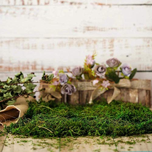 Fake Moss for Crafts, Artificial Green Moss for Potted Plants Centerpieces Decor (3.5OZ)