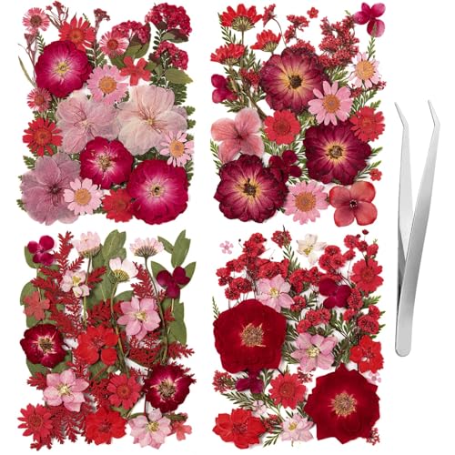 101 PCS Red Dried Pressed Flowers for Christmas Crafts Resin, Red Real Nature Flowers Bulk for DIY Holiday Cake Card Scrapbook Supplies, Large Dried Flowers for Soap Candle Making - size: Red